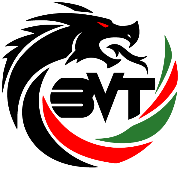 Logo BVT Originale
